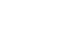 gisada-Logo in Weiß