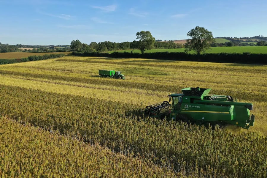 Die Erfolge unserer Kunden: Die Geschichte von Celtic Wind