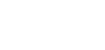 Turtle Wax-Logo in Weiß