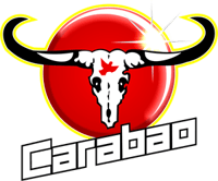 carabao